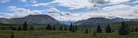 Mountain Vista Trail at Denali National Park